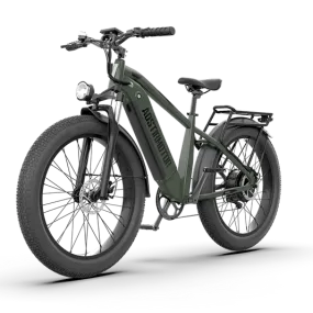 Aostirmotor King 1000W 52V All-Terrain Fat Tire Electric Bike