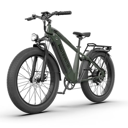 Aostirmotor King 1000W 52V All-Terrain Fat Tire Electric Bike