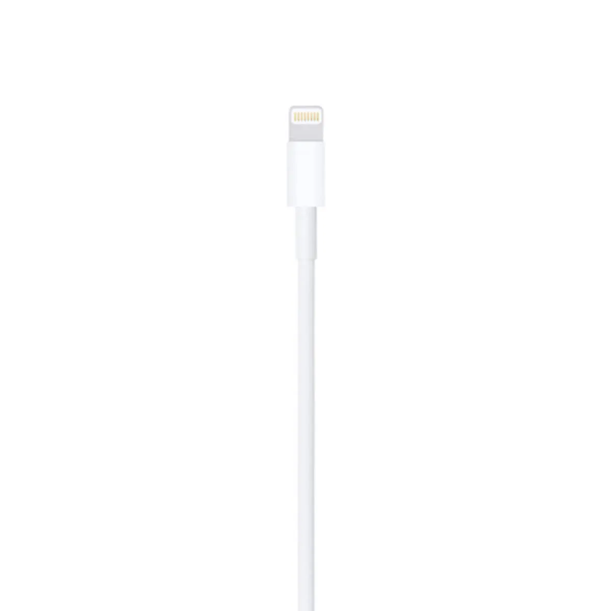 Apple Original Lightning to USB Cable (1M)