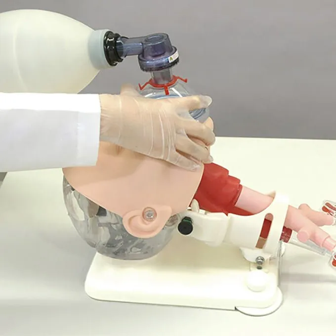 Difficult Airway Management Demonstration Model