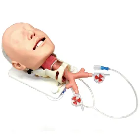 Difficult Airway Management Demonstration Model