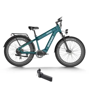 Himiway 1000W 48V D5 Rhino Dual-Battery Off-Road Fat Tire Electric Bike