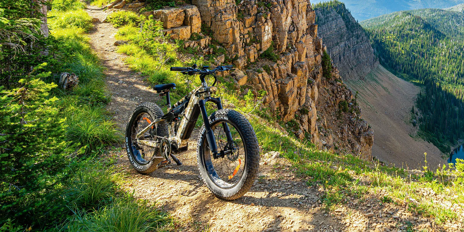 Himiway 1000W D7 Cobra PRO Full Suspension Mountain Electric Bike