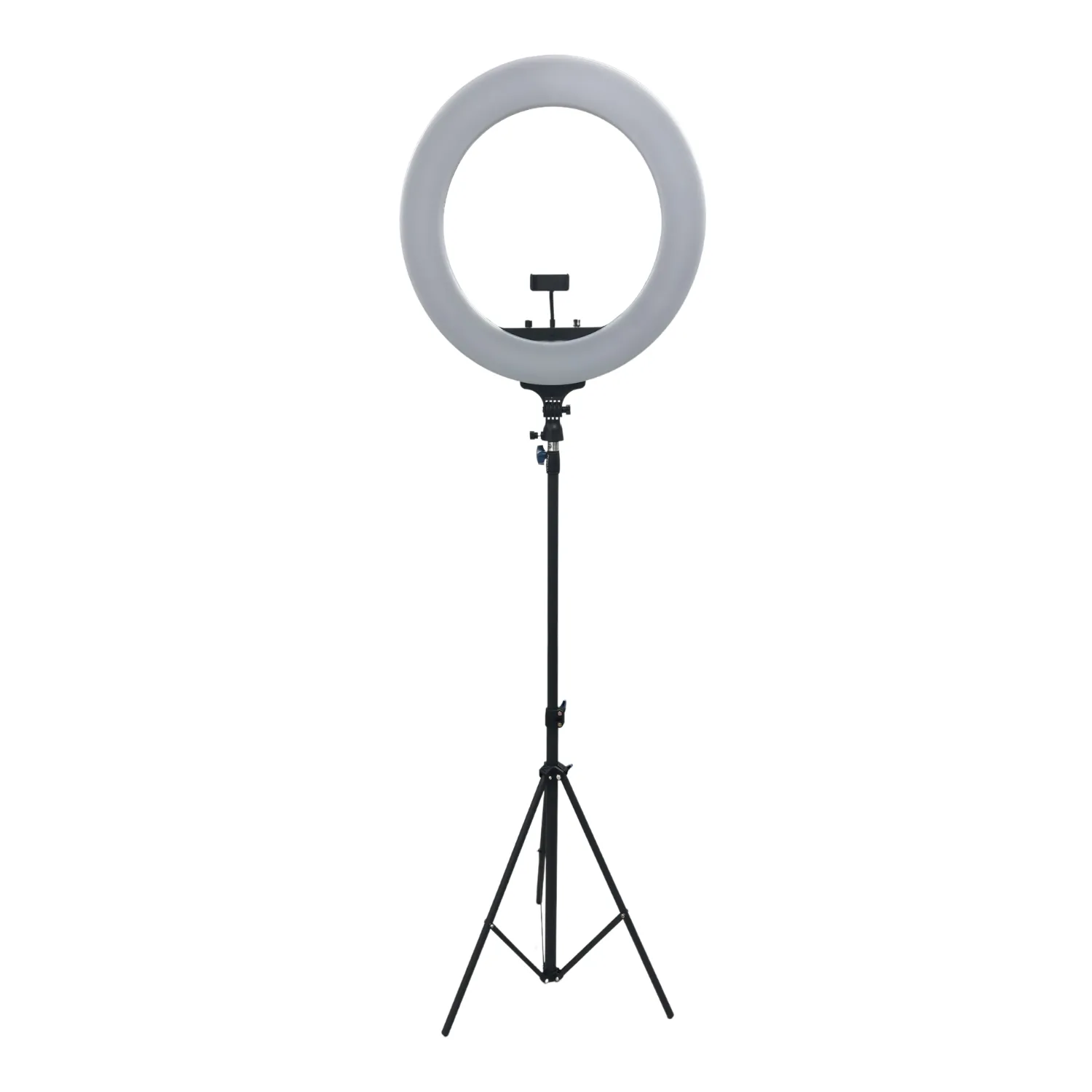 Ideal 22" Ring Light