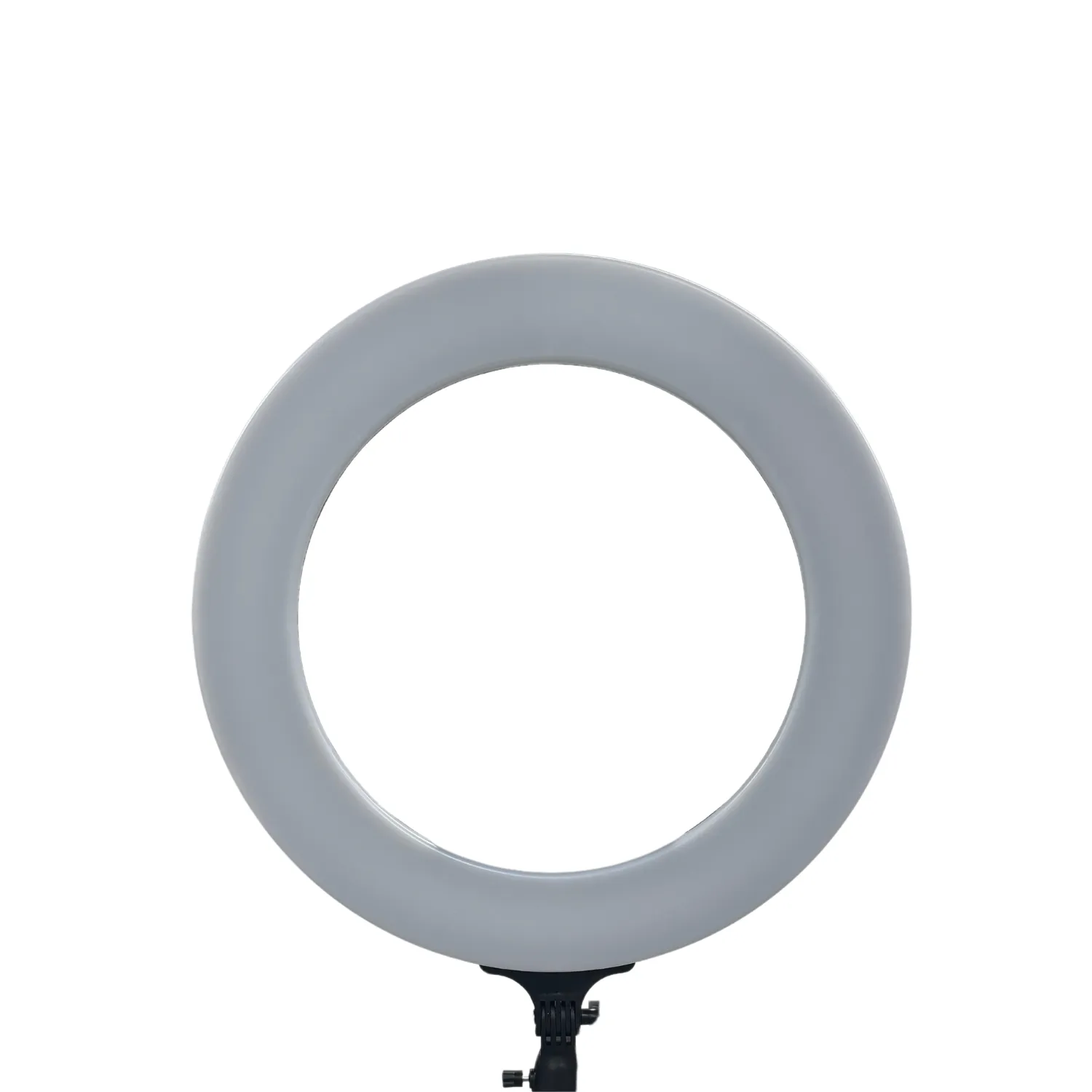 Ideal 22" Ring Light