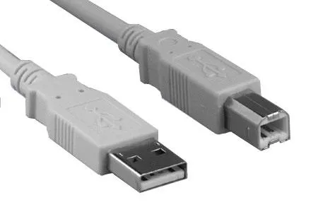 USB 2.0 Patch Cable Type A Male to B Male: 10 ft